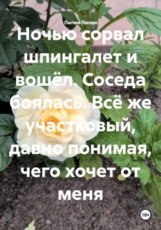 Ночью сорвал шпингалет и вошёл. Соседа боялась. Всё же участковый, давно понимая, чего хочет от меня