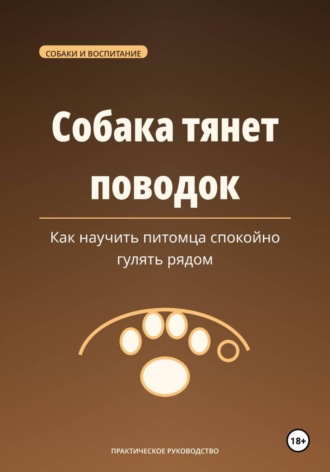 Собака тянет поводок — как научить питомца спокойно гулять рядом