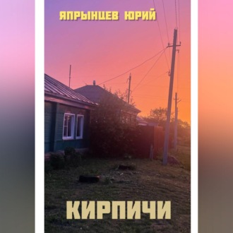 Кирпичи