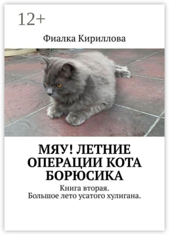 Мяу! Летние операции кота Борюсика. Книга вторая. Большое лето усатого хулигана.
