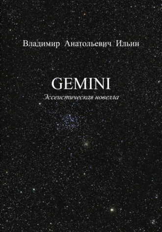 GEMINI. Эссеистическая новелла