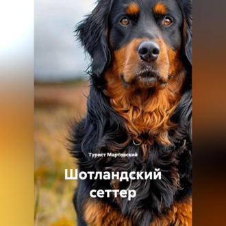 Шотландский сеттер