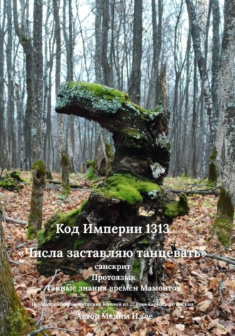 Код Империи 1313. «Числа заставляю танцевать» — санскрит. Протоязык. Тайные знания времён Мамонтов
