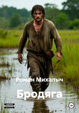 Бродяга