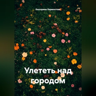 Улететь над городом