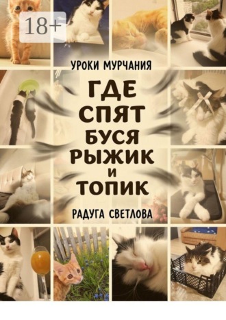 Где спят Буся, Рыжик и топик. Уроки мурчания