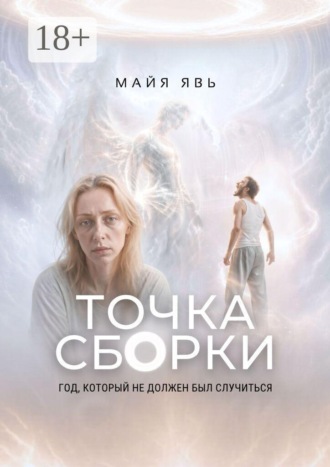 Точка сборки