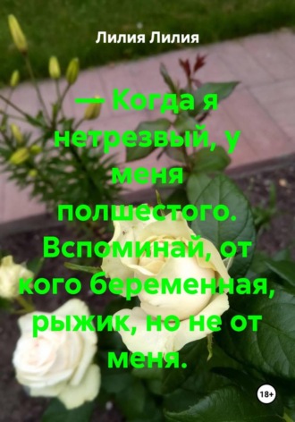— Когда я нетрезвый, у меня полшестого. Вспоминай, от кого беременная, рыжик, но не от меня.