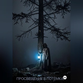Просвещение в потёмках