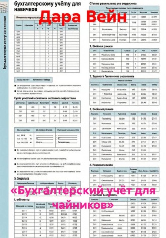 «Бухгалтерский учёт для чайников»