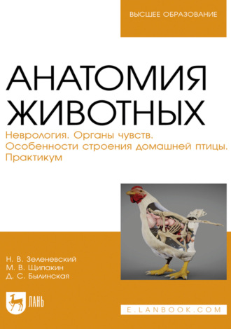 Анатомия животных. Неврология. Органы чувств. Особенности строения домашней птицы. Практикум. Учебное пособие для вузов. 3-е издание, исправленное и дополненное