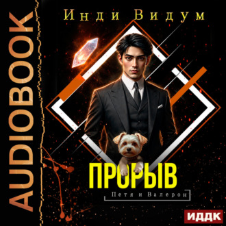 Петя и Валерон. Книга 9. Прорыв