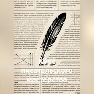 Курс писательского мастерства