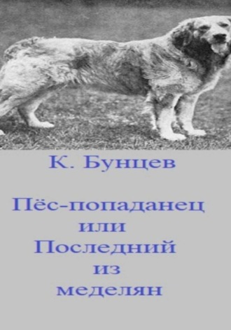 Пёс-попаданец, или Последний из меделянок