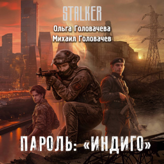 Пароль: «Индиго»
