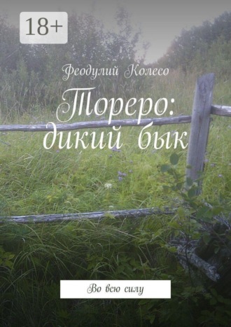 Тореро: дикий бык. Во всю силу