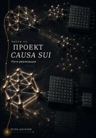 Проект Causa Sui - пути реализации Часть III