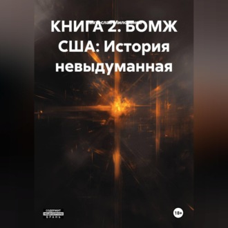 КНИГА 2. БОМЖ США: История невыдуманная