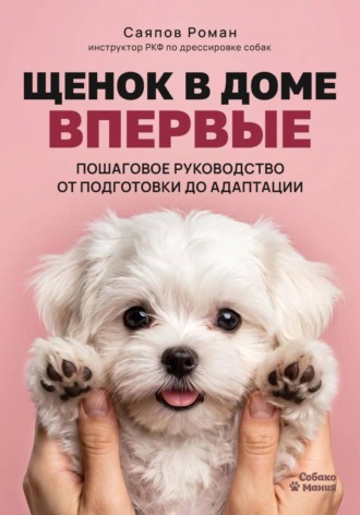 Щенок в доме впервые: пошаговое руководство от подготовки до адаптации