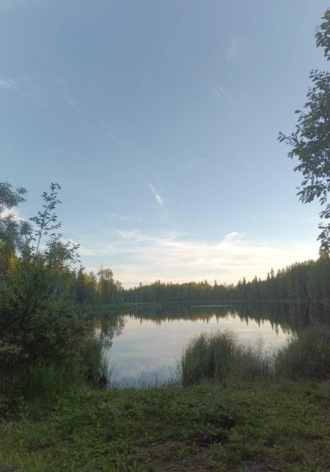 Жизнь меня