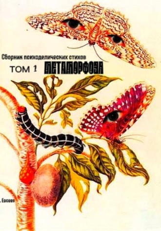 Метаморфоза. Сборник стихов