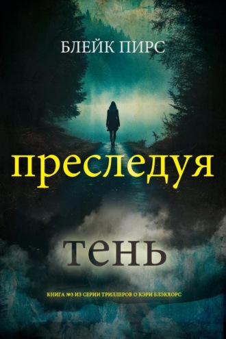 Преследуя тень