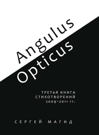 Angulus / Opticus. Третья книга стихотворений. 2009–2011 гг.